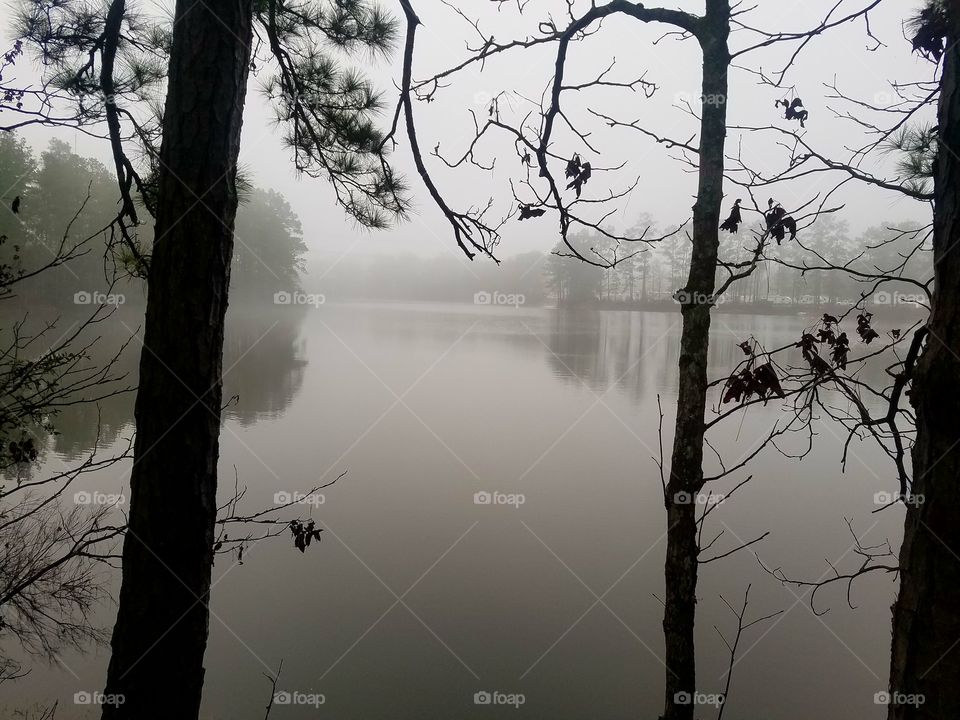 a foggy morning on Smith Lake in Vidor Texas United States of America January 2018
