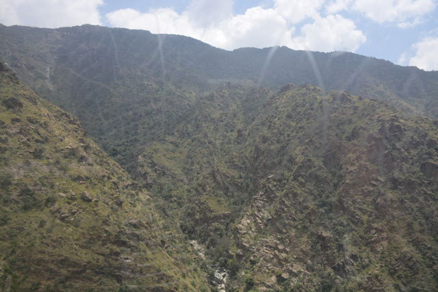 nature