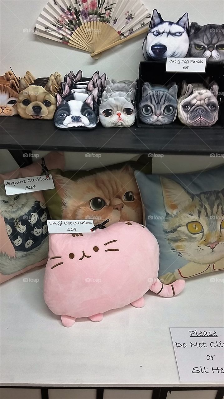 Cat Design Cushions