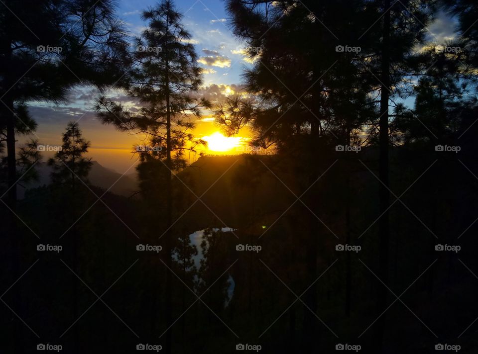 Sunset, Dawn, Landscape, Light, Tree