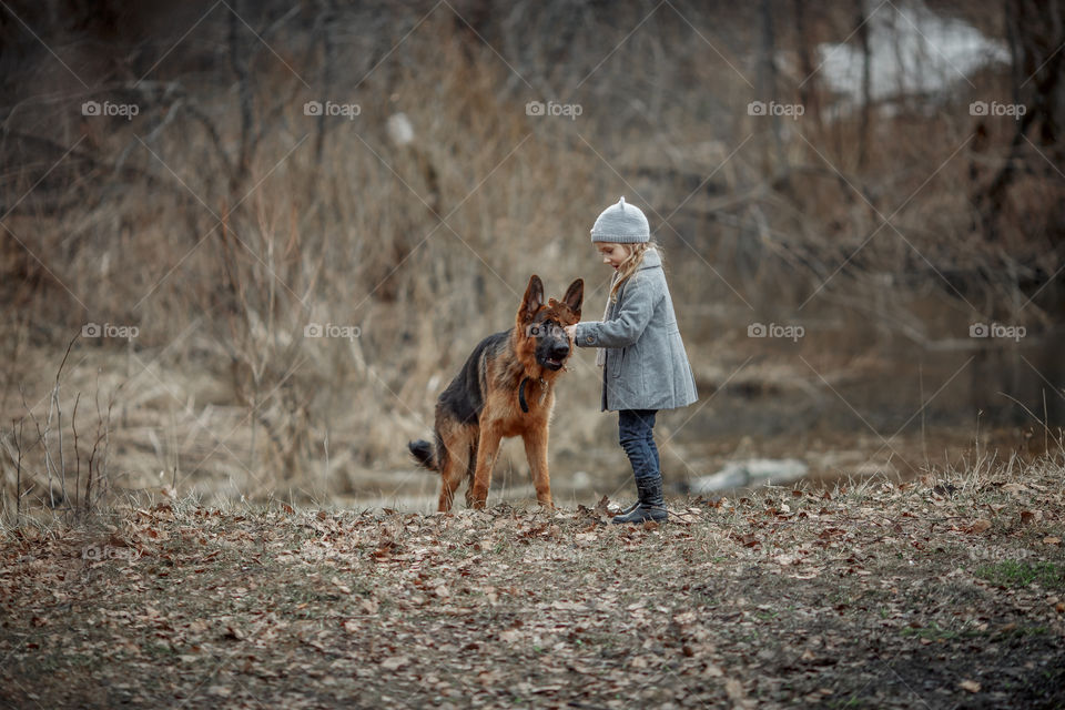 Little girl with German shepherd young male dog walking outdoor at spring day