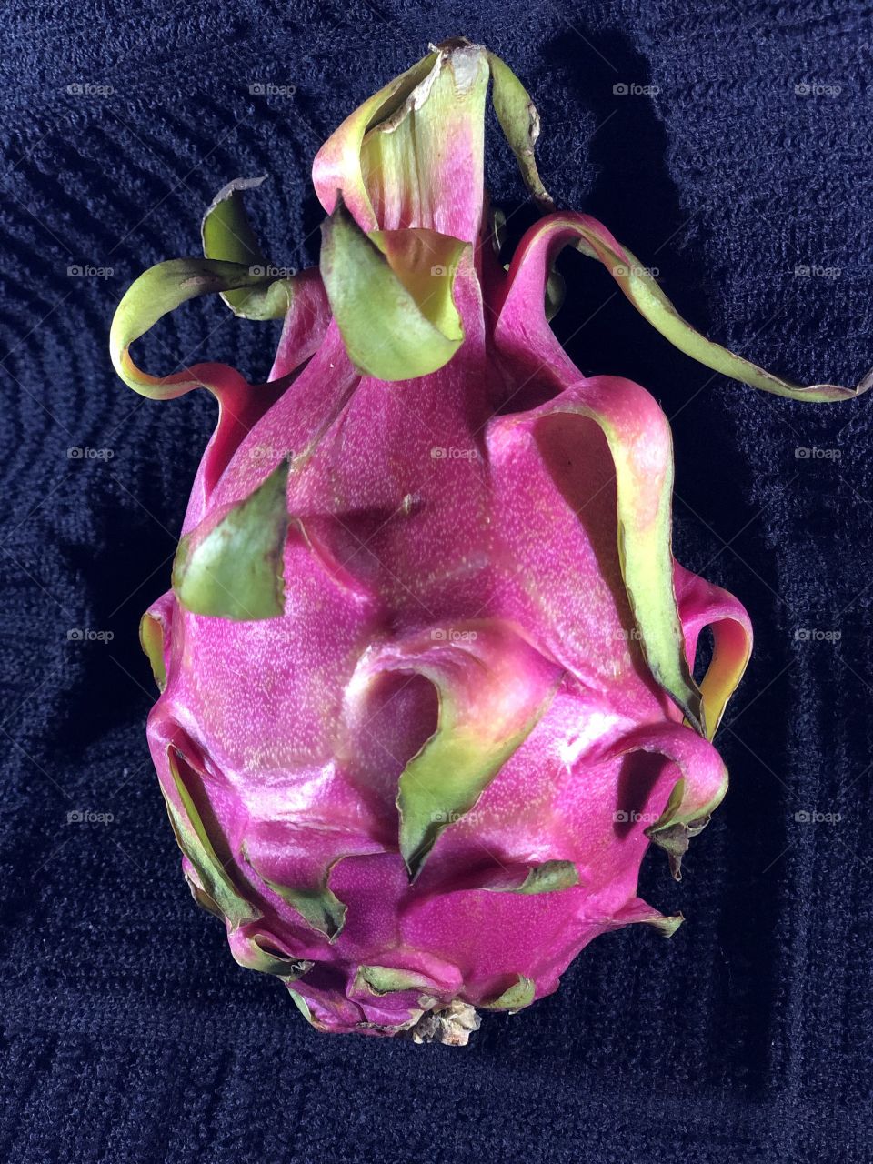 Dragon Fruit