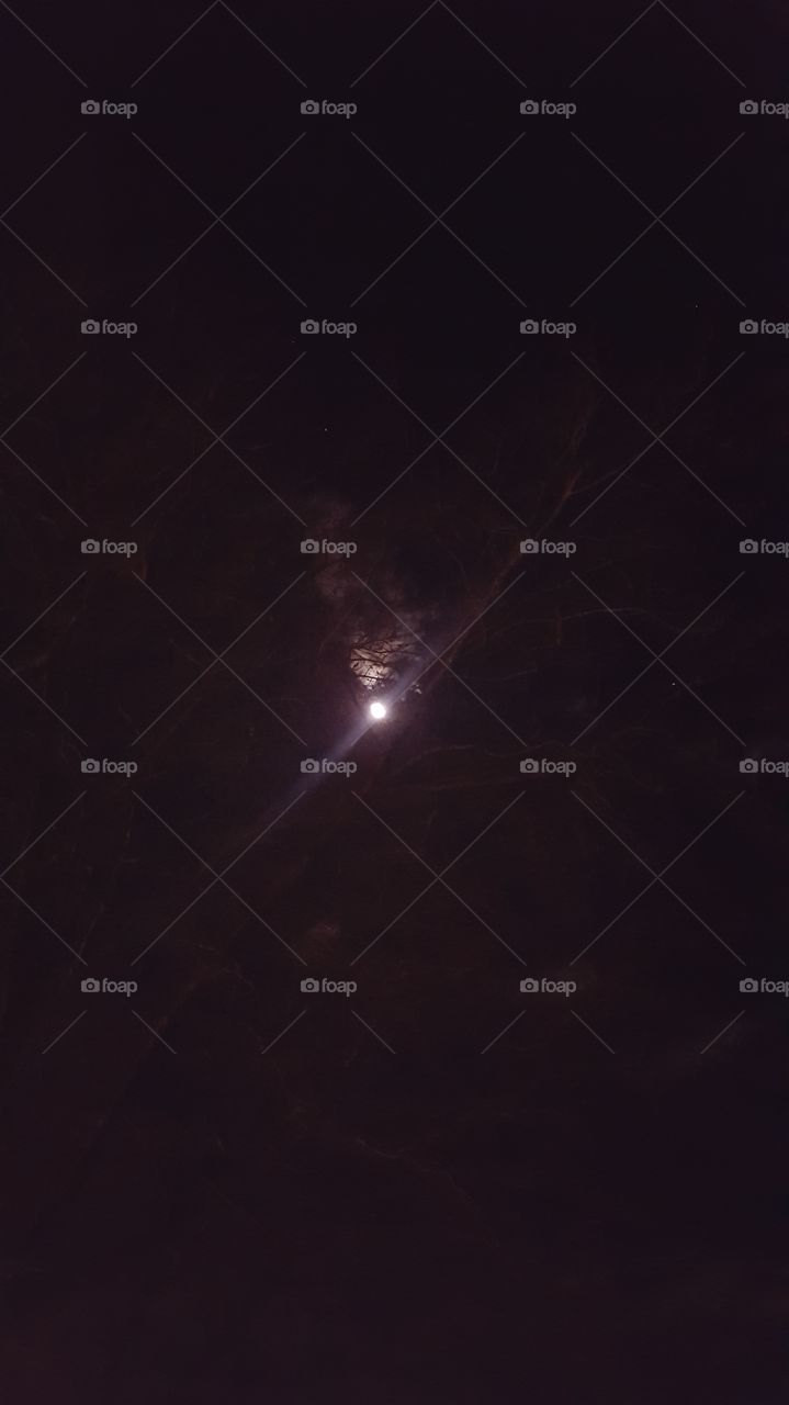 moon