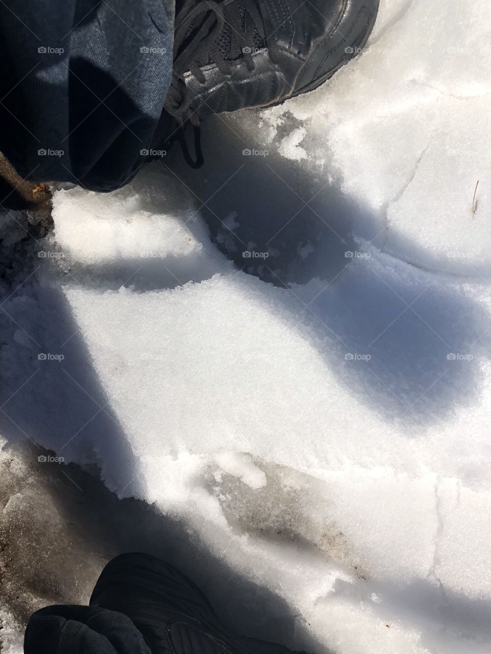 Shadow sense in snow 