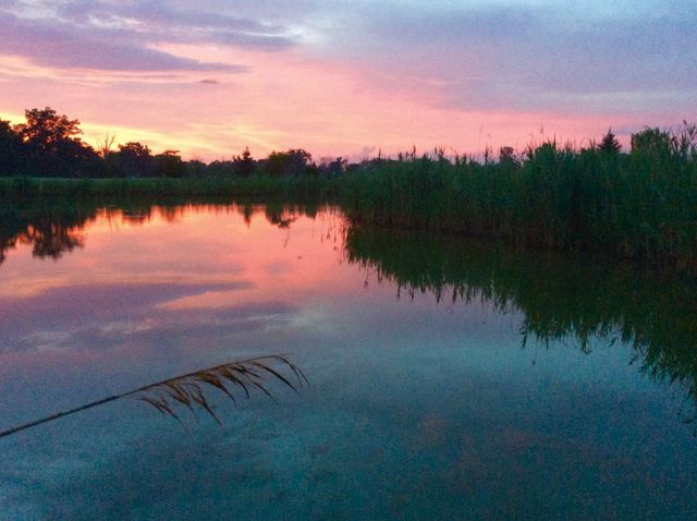 Pink Sky reflection 