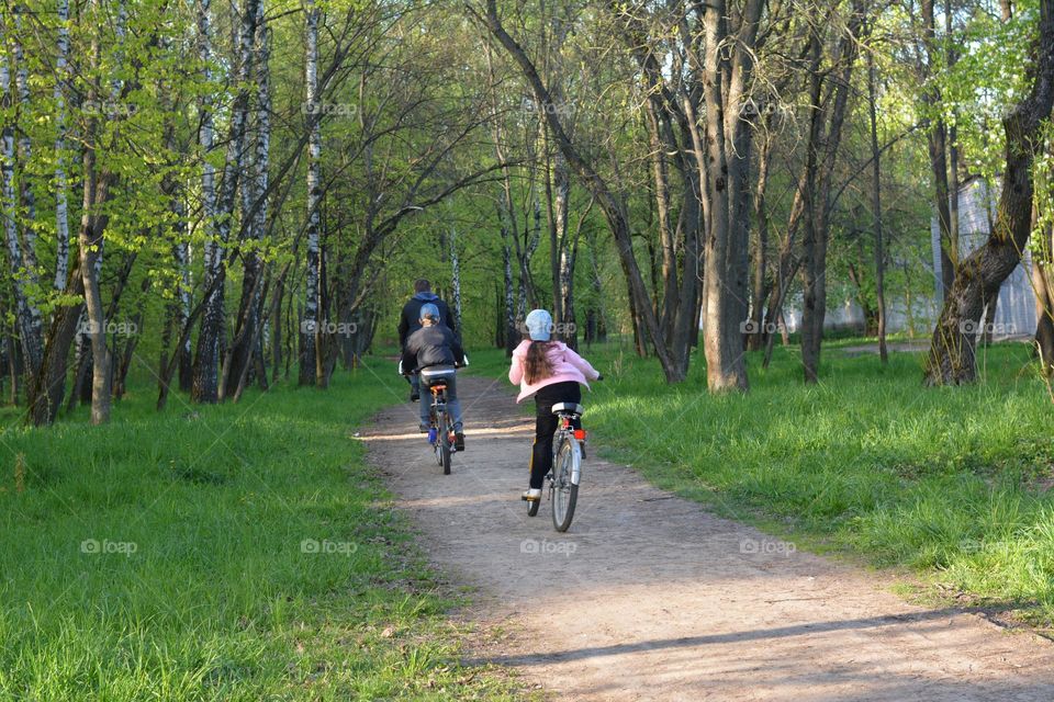 family riding bikes spring and summer time