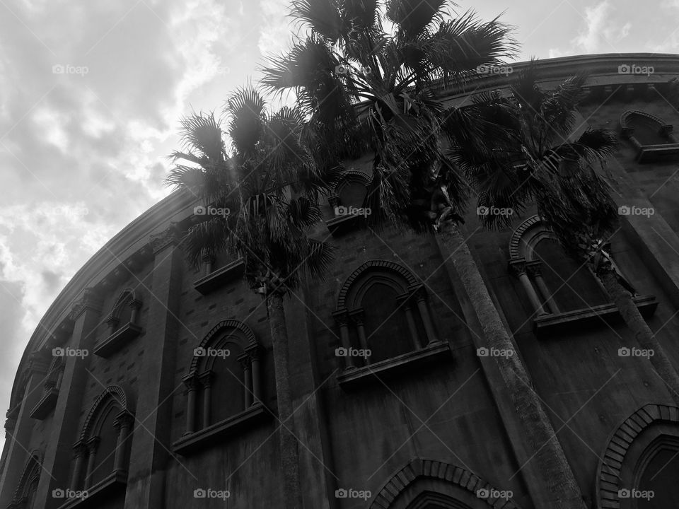 The Holy Land Experience 