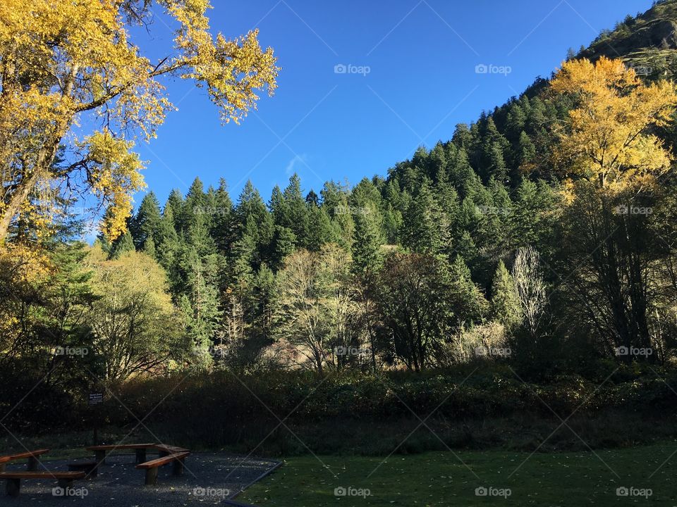 Goldstream provincial park, B C