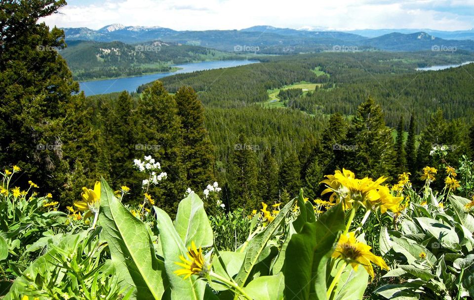 Grand Tetons