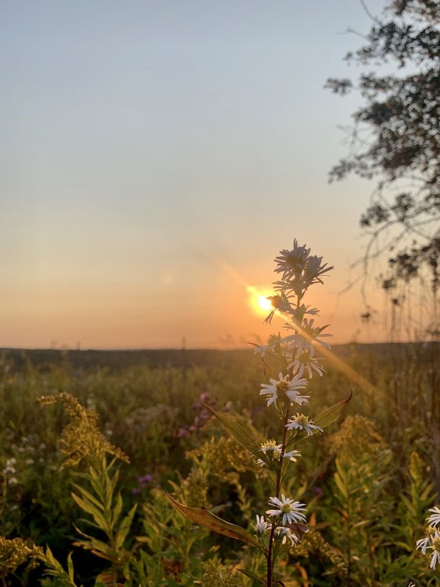 Peaceful night 