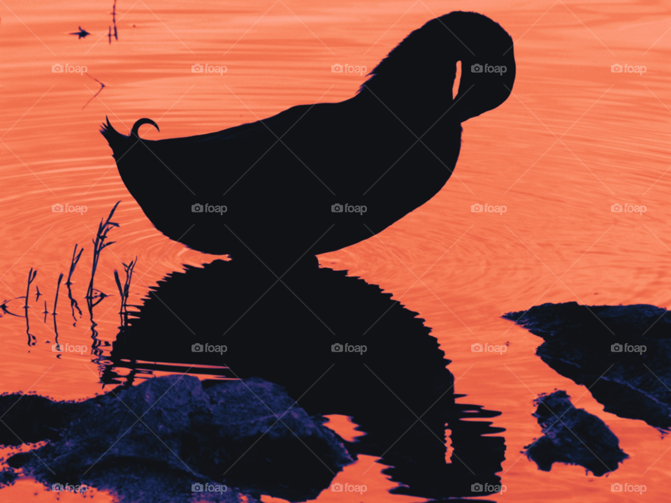 sunset orange water lake by lightanddrawing