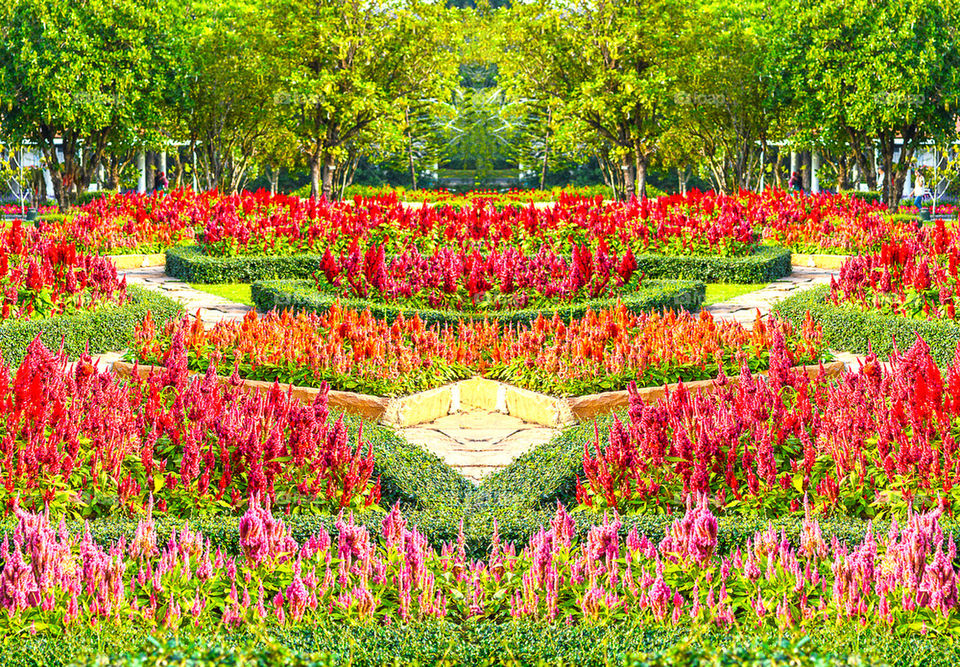 Flower garden