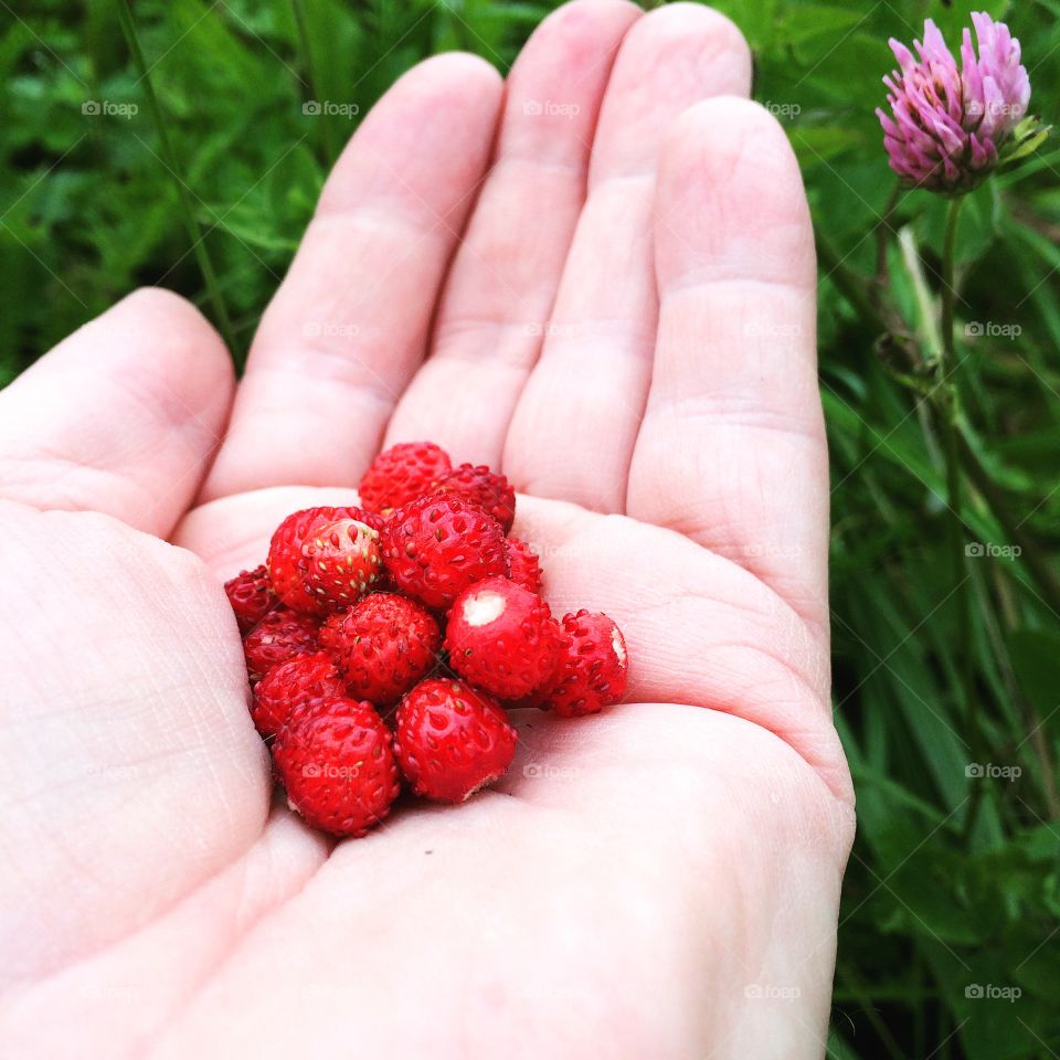 Nice small strawberries