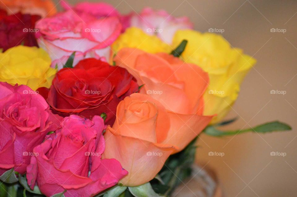 beautiful bouquet of colorful roses perfect for Valentine's  Day or Birthday