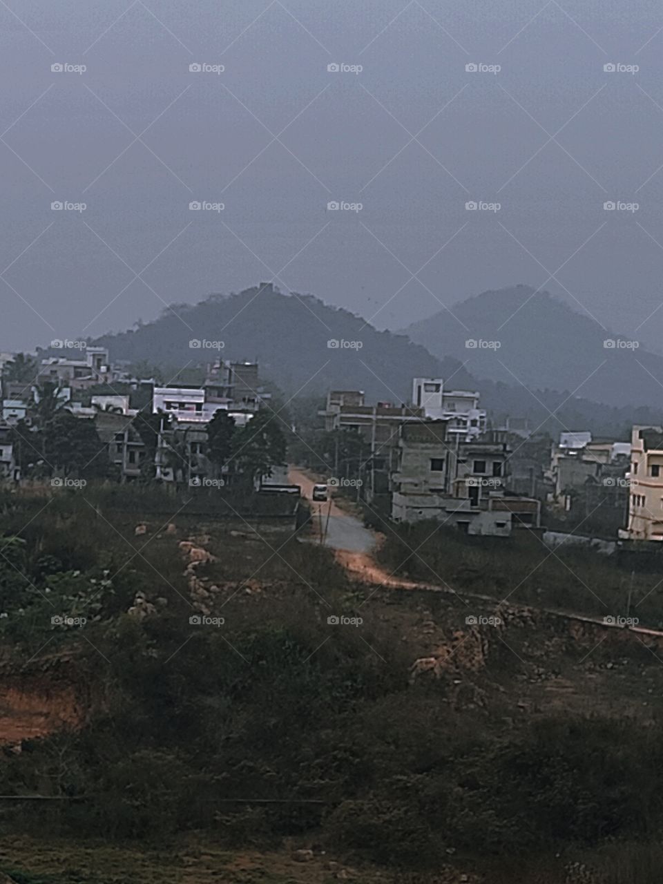 View from the top of the hill.