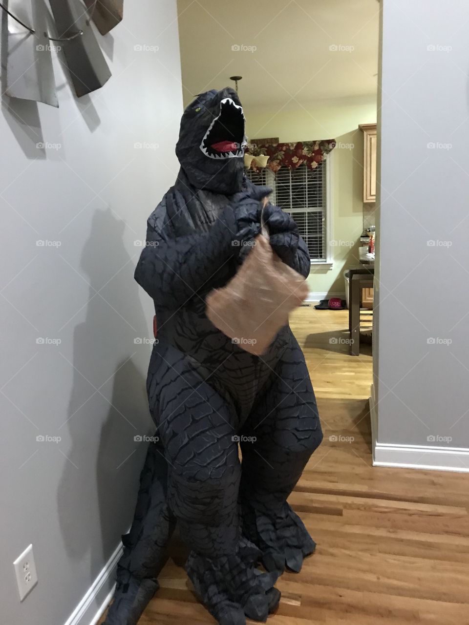 Godzilla costume