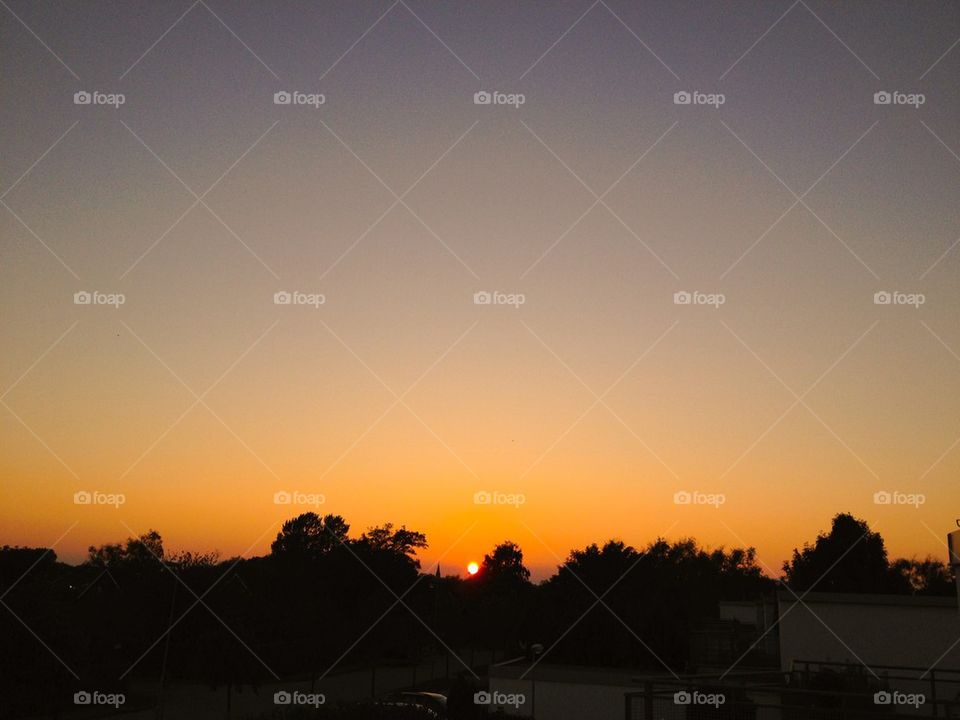 Sunset, orange, trees, beautiful, nature