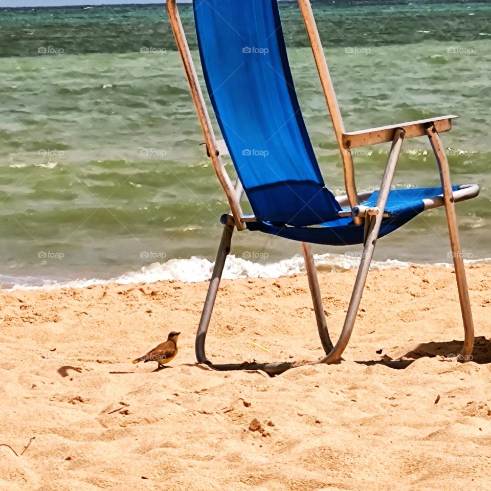 Enjoying Sunday at the beach in Recife -Pernambuco-Brazil