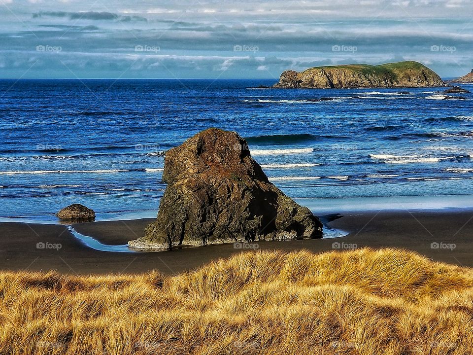 Oregon Coast