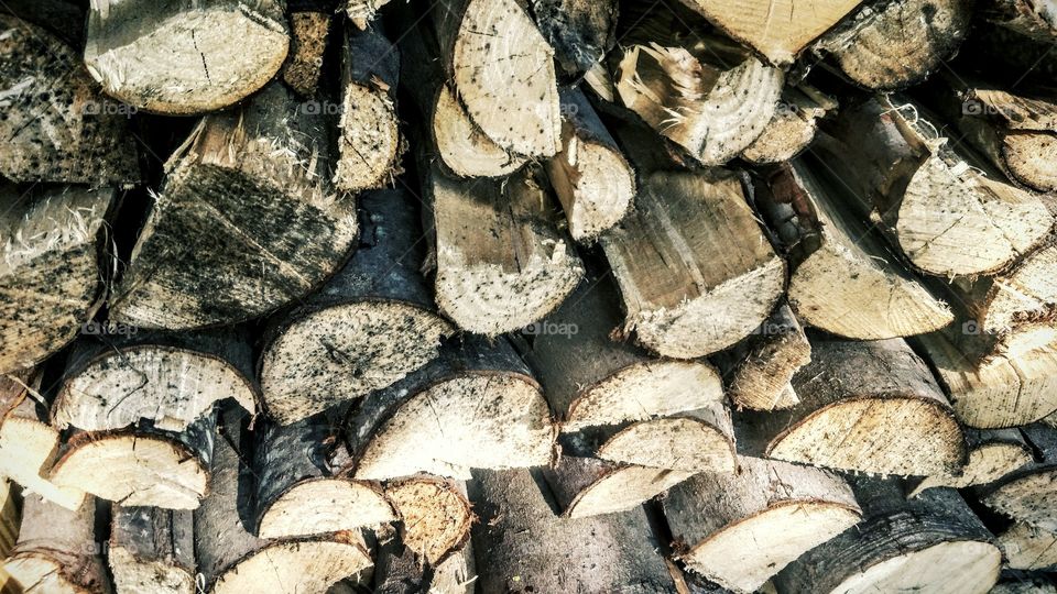 Full frame of wooden log