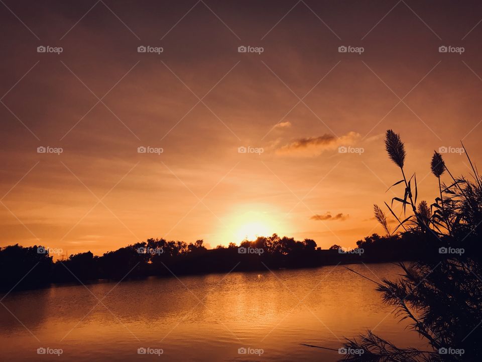 Some of these Sunsets are taken in the same location but days apart. Sky, Clouds, Sun Reflection, Color, sets this Sunset apart from others Pretty.