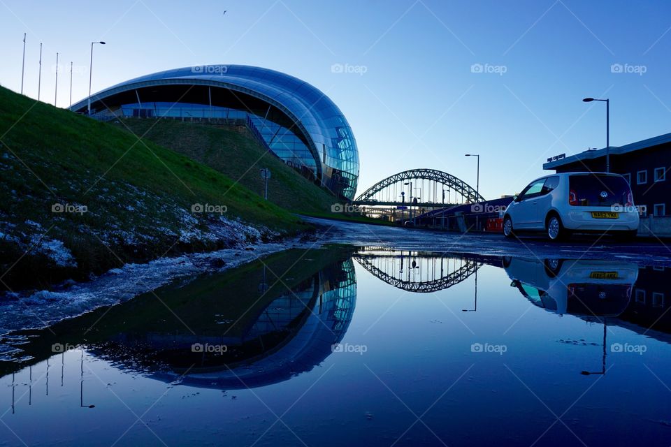 Puddle Reflection