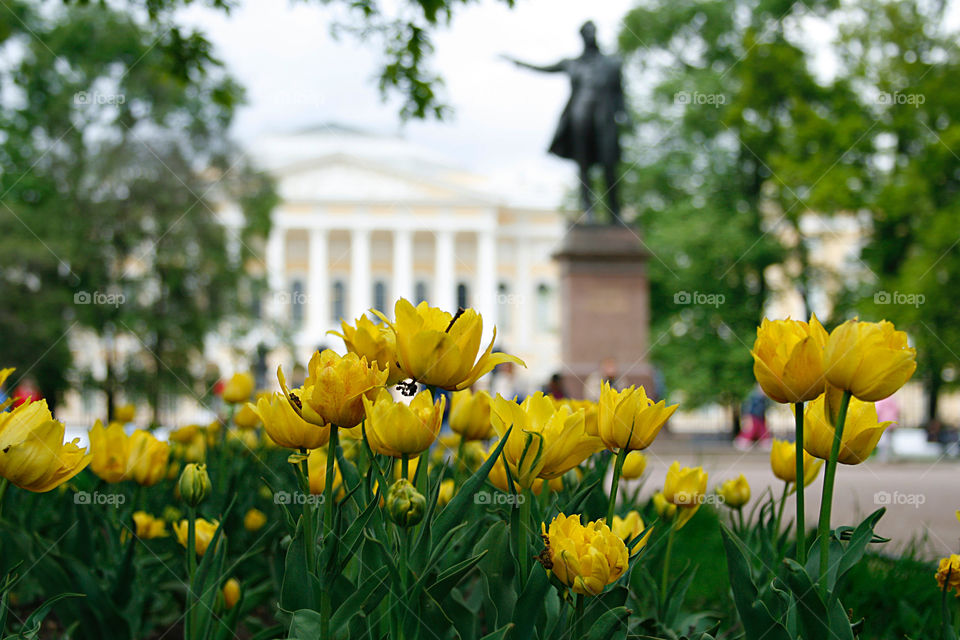 Flowers in the city 