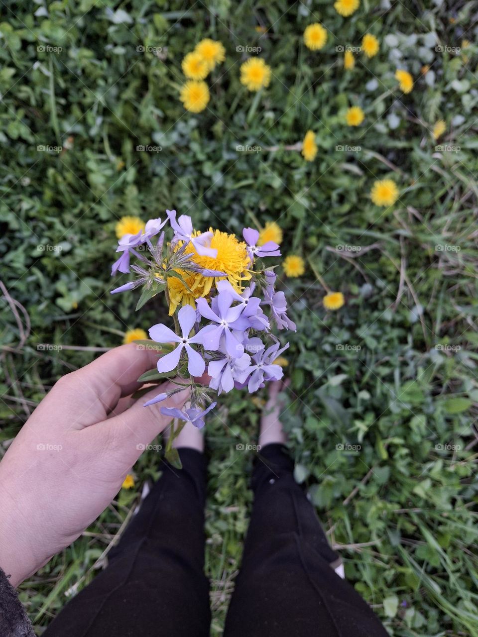 a small bouquet of garden flowers in complementary colors, namely the contrast of purple and yellow