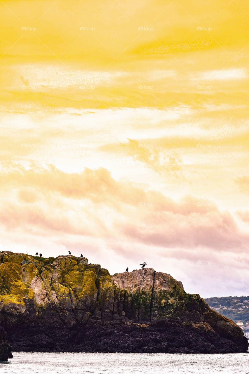Distant view of birds on mountain