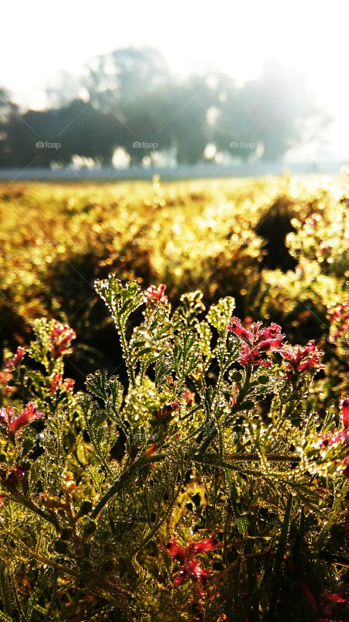 my previous one wasn't clear