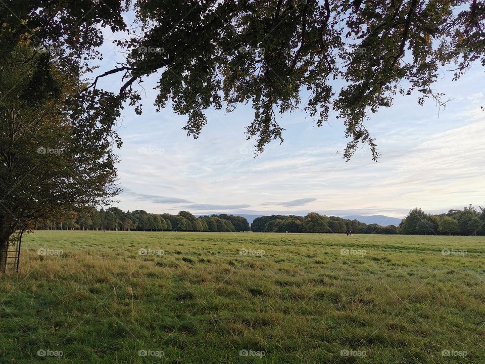 Relaxing look into the distance!!