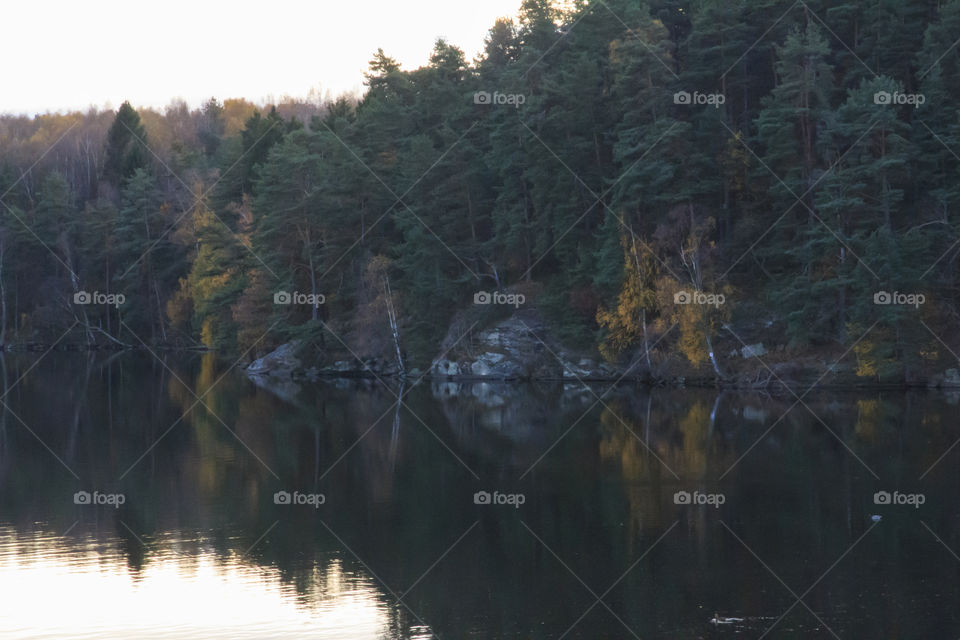 Colorful Autumn - reflection on calm water - höst spegelblank sjö skog