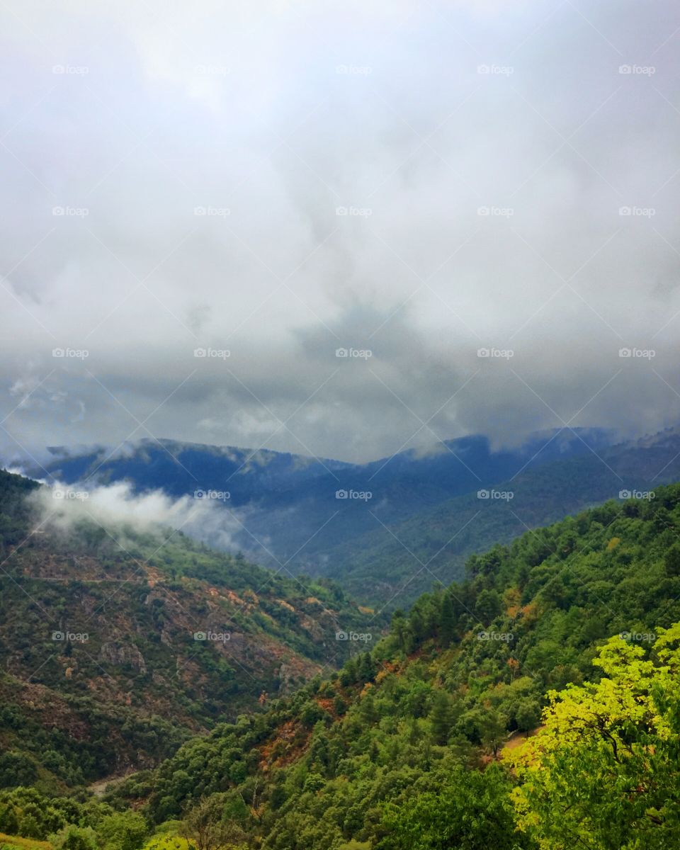 Rainy day in the mountains 