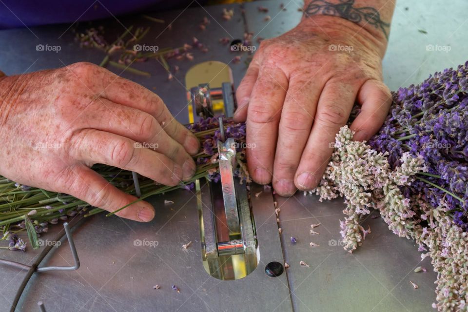 close up of woman's hands lovingly crafting a wreath of fresh lavender flowers on a farm in Oregon