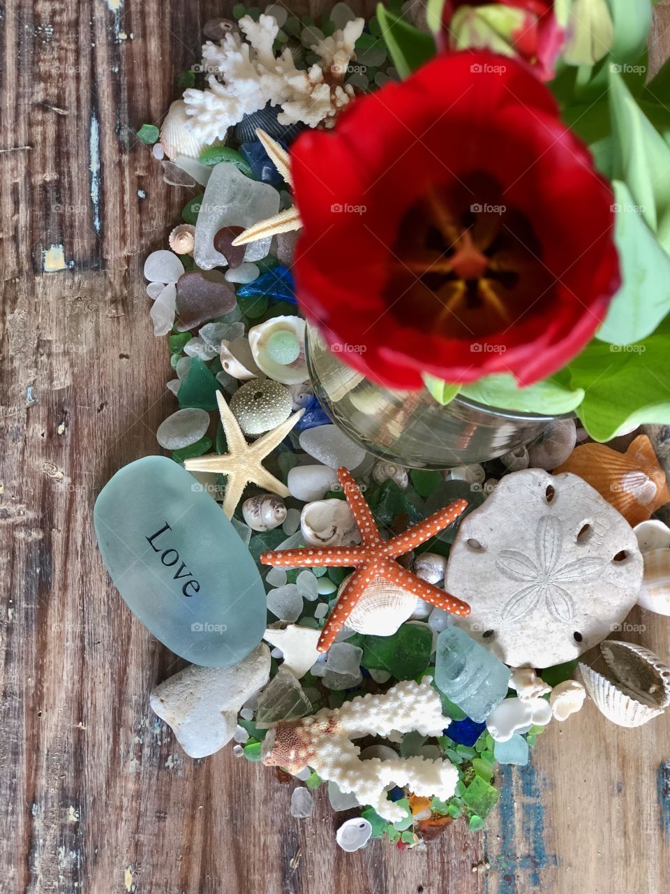 Stunning Red Tulip in Beach Sea Glass!