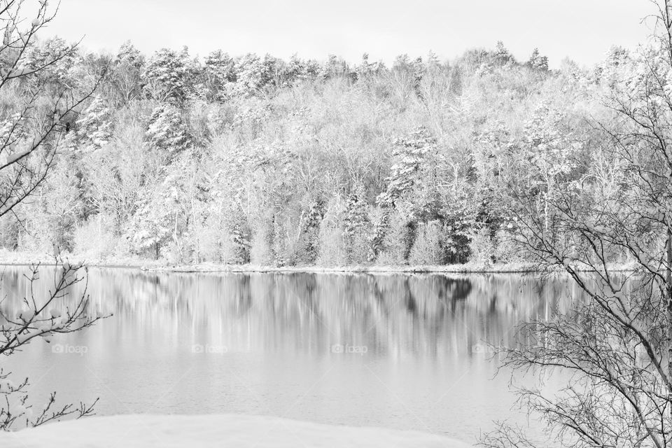 Forest covered in snow and reflection in the lake water on a cold winter day, shot in black and white 