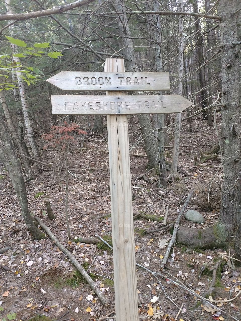 Hiking in Maine