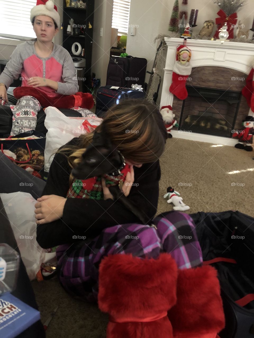 A dog for Christmas gift