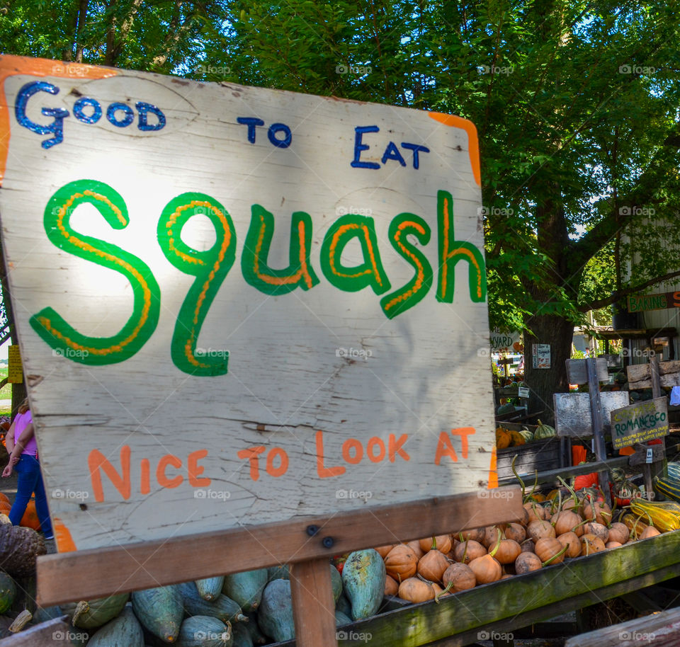 Squash display at a local pumpkin patch in the fall