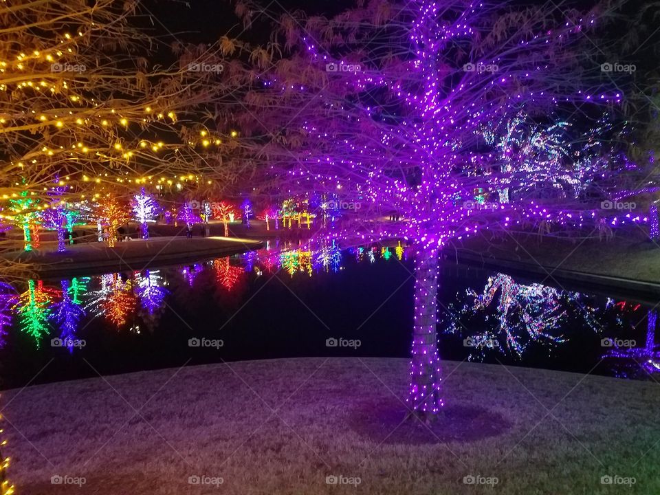 About 100 trees decorated