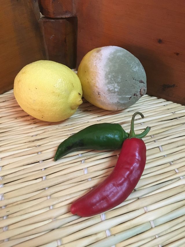 Vegetables 