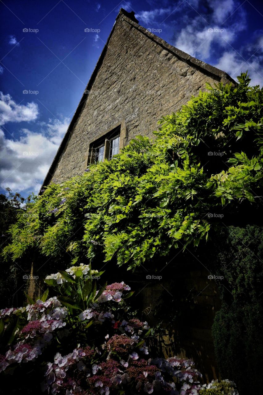 Cottage. Cotswolds