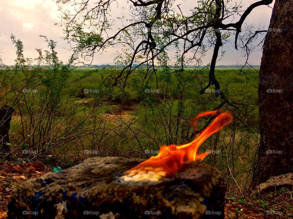 fire and background nature 