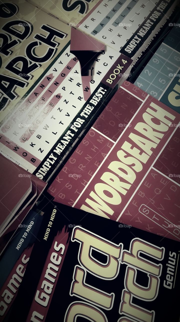 pastimes. word puzzles