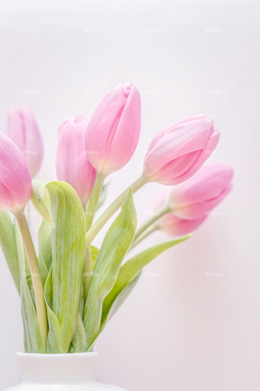 Bouquet of Tulips