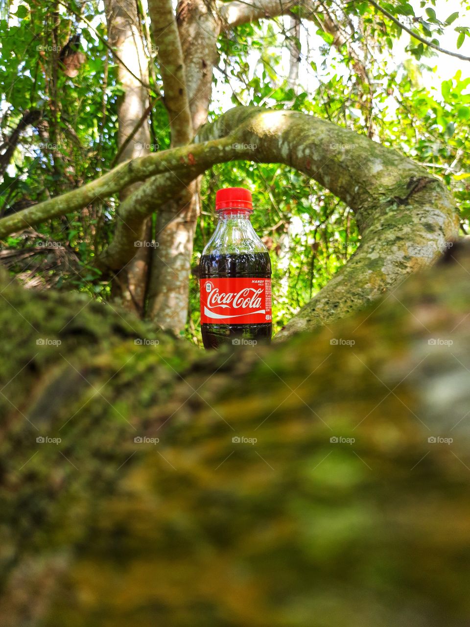 Beautiful Nature and Coca-Cola..