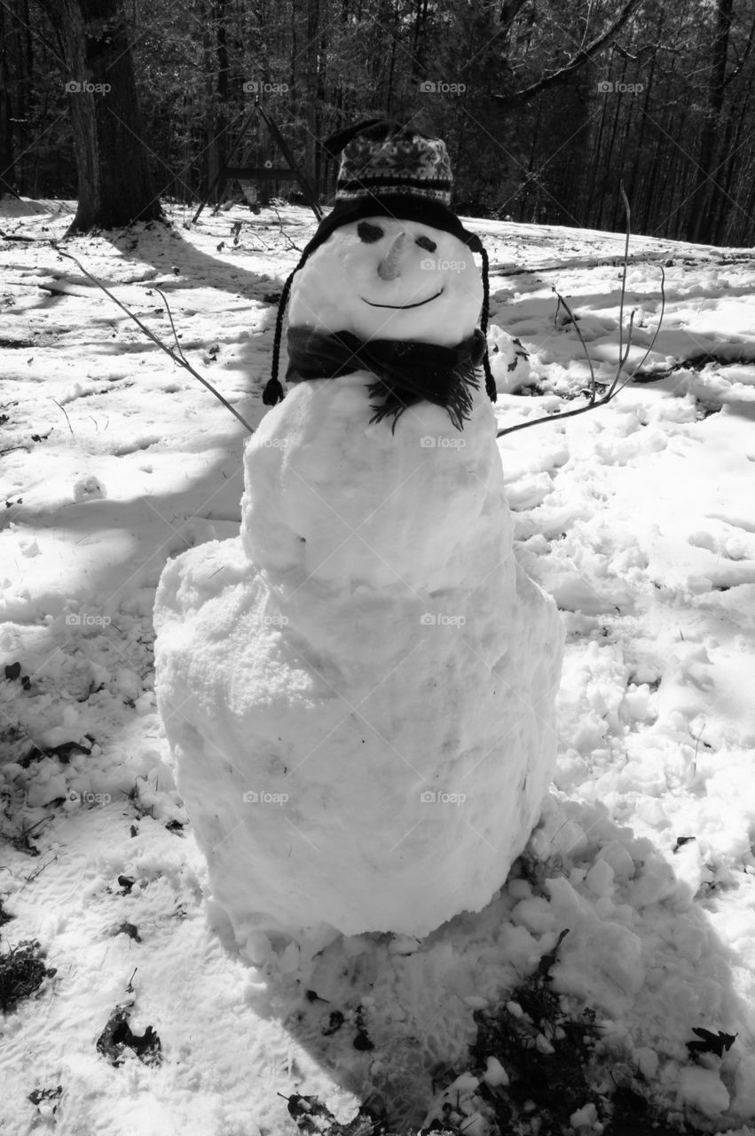 Snowman Friend