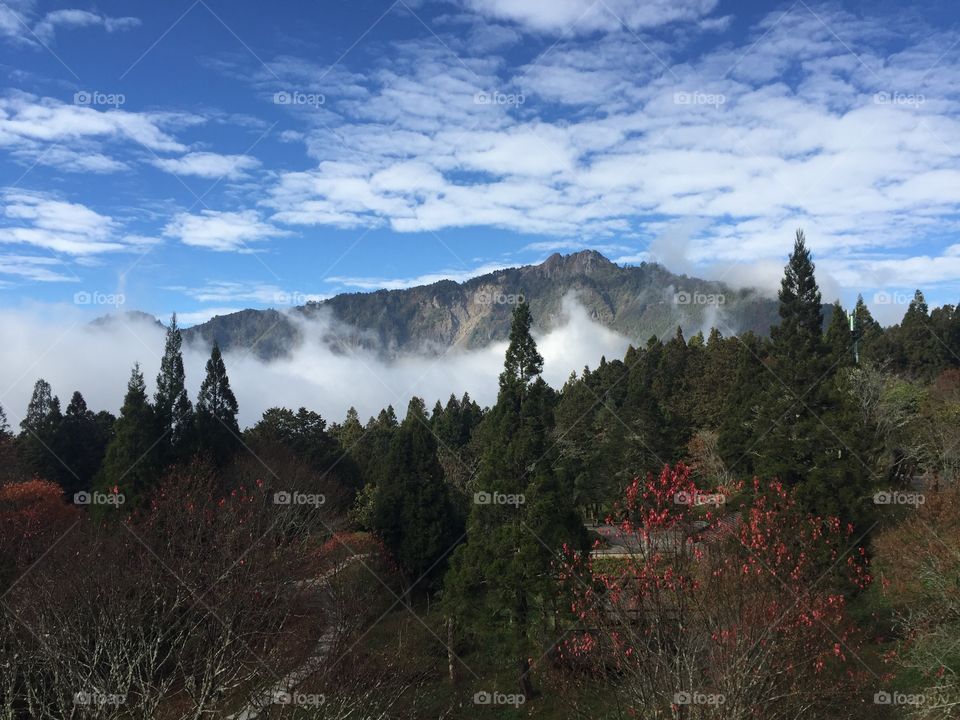 Mountain View in Ali shan, Taiwan