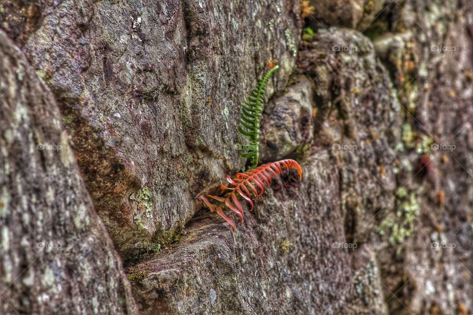 Beauty in everything 