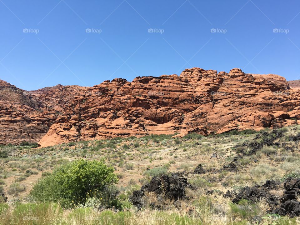 Navajo Sandstone